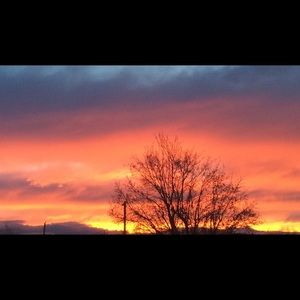 Meet your Posher, Alison